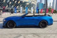 Ford_Mustang-EcoBoost-Convertible-V4_2020_1