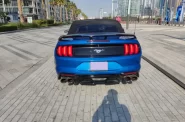 Ford_Mustang-EcoBoost-Convertible-V4_2020_5