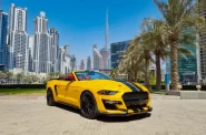 Ford_Mustang-GT-Convertible-V8_1