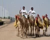 Understanding Emirati Culture A Beginner’s Guide