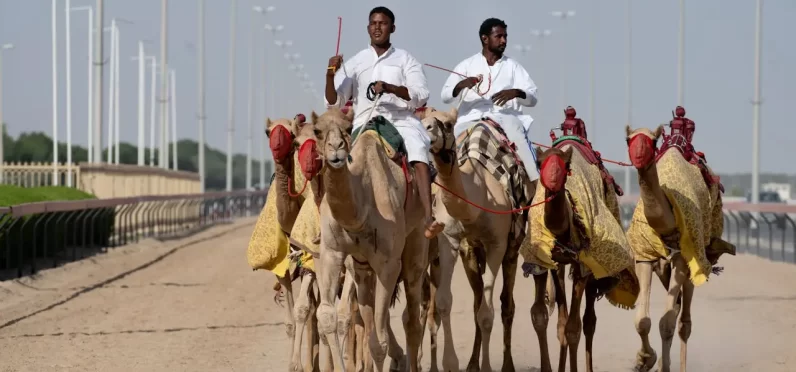 Understanding Emirati Culture A Beginner’s Guide